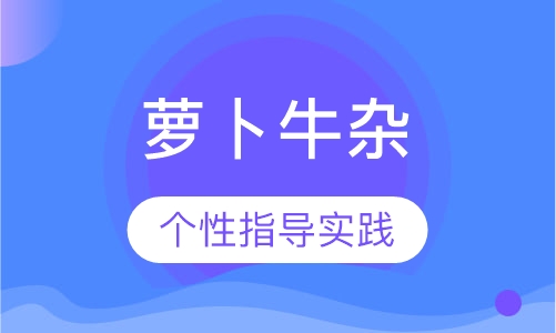 萝卜牛杂
