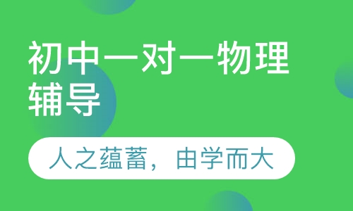 初中一对一物理辅导
