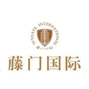 重庆藤门国际教育