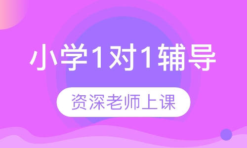 小学1对1辅导