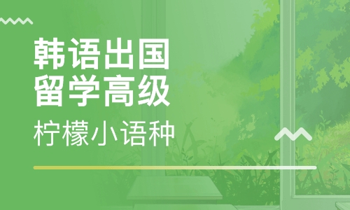 韩语出国留学高级课程