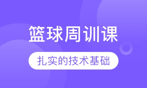 篮球周训课