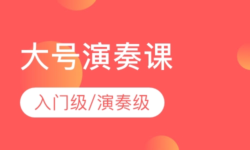 大号 入门级/演奏级