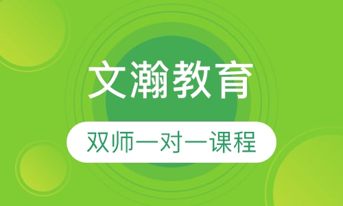双师一对一