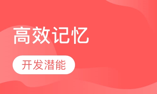 高效记忆