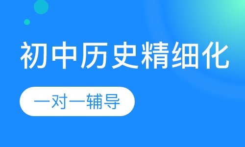 初中历史精细化一对一辅导