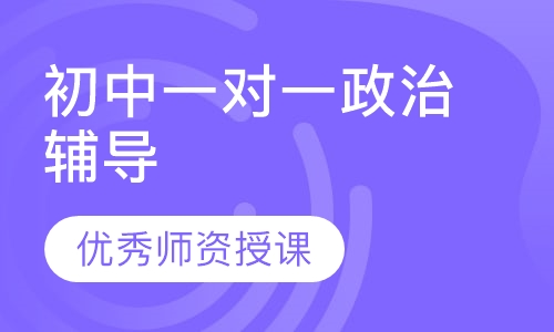 初中一对一政治辅导