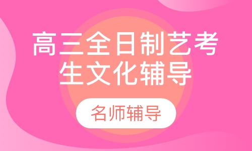 高三全日制艺考生文化辅导