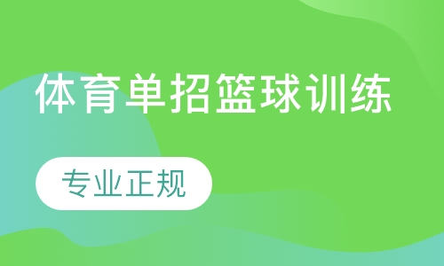 体育单招篮球训练营