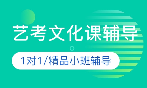 艺考文化课辅导