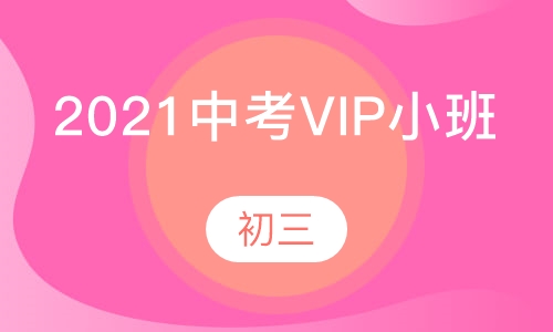 2021中考VIP小班