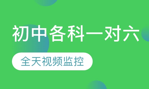 初中各科一对六