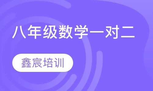 八年级数学一对二