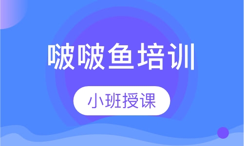 啵啵鱼培训
