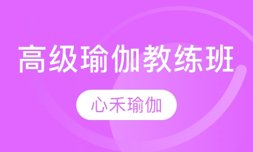 高级瑜伽教练班培训