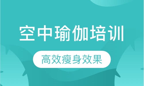 空中瑜伽培训