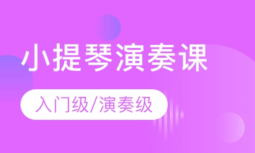 小提琴 入门级/演奏级