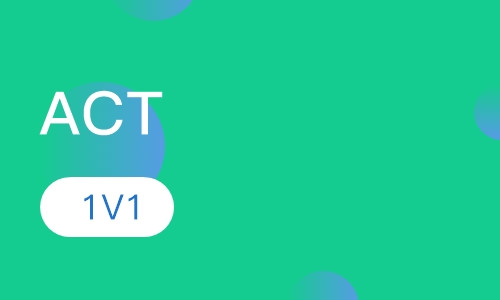 ACT 1V1强化定制精品课程