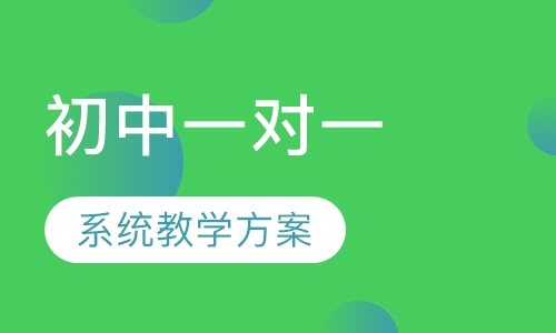 一对一辅导初中一对一