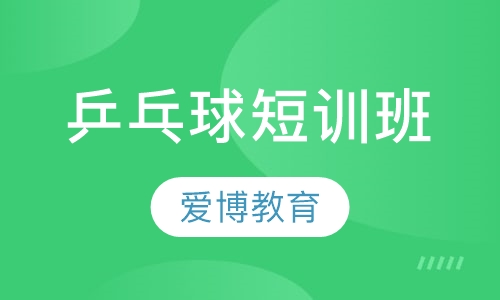 乒乓球短训班
