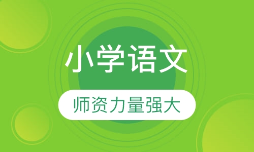 小学语文一对一上门辅导