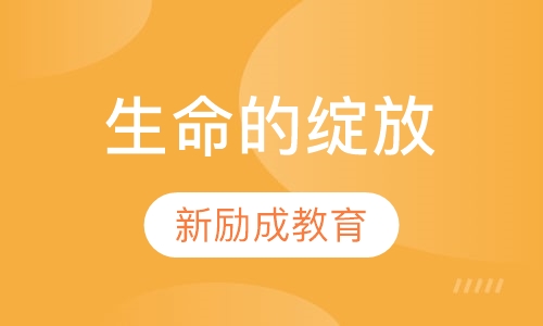 生命的绽放