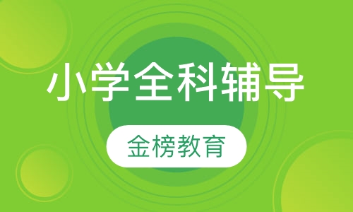 小学全科辅导
