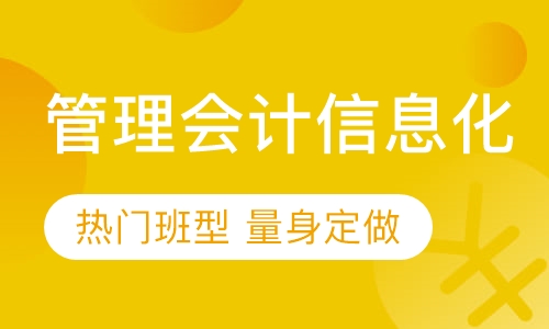 管理会计信息化