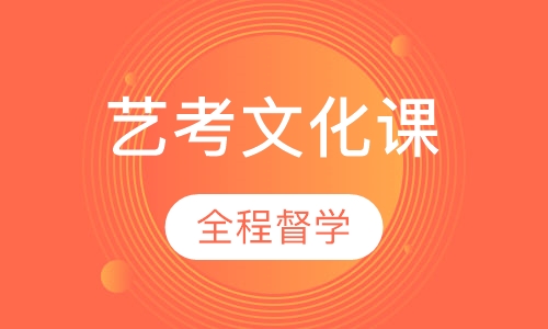 艺考文化课一对六