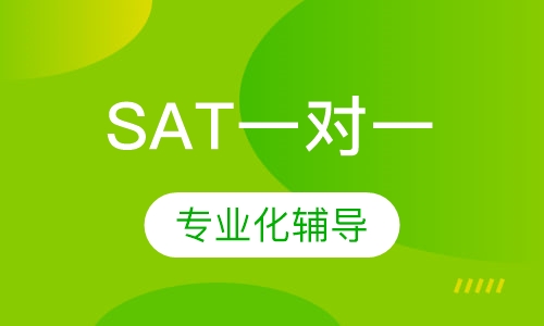 SAT一对一