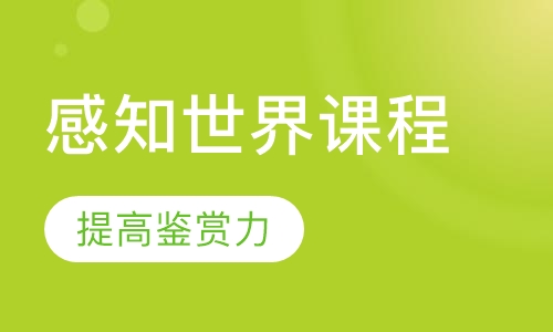 3-4岁感知世界课程