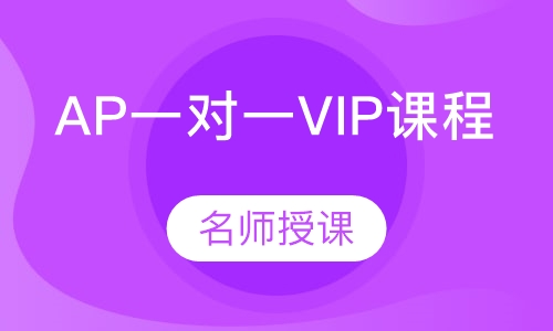 AP一对一VIP课程