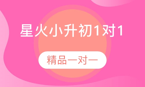 星火小升初1对1