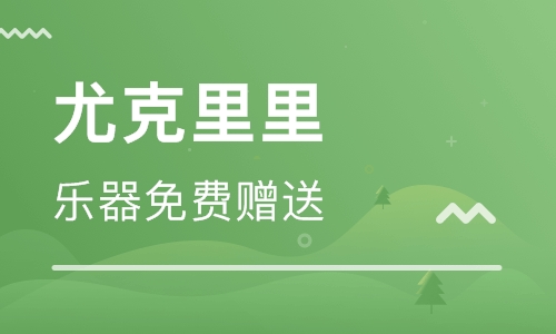 尤克里里专业教学乐器免费赠送