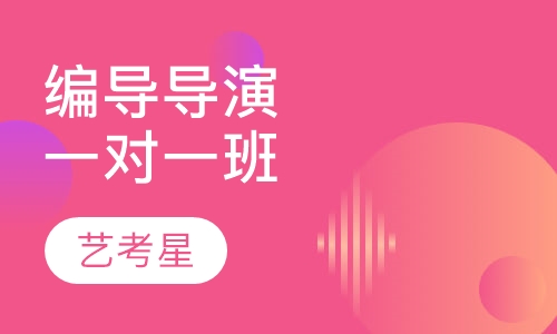 编导导演一对一班