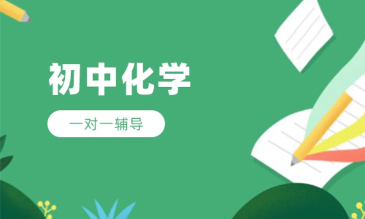 初中化学1对1辅导
