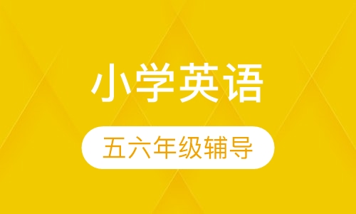 小学五六年级英语辅导