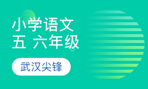 小学五、六年级语文辅导