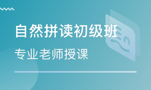 自然拼读初级班