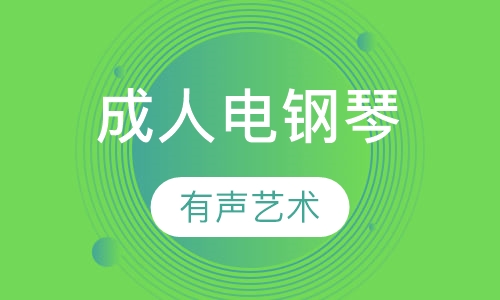 成人电钢琴