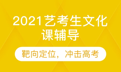 2021艺考生文化课无忧计划课程