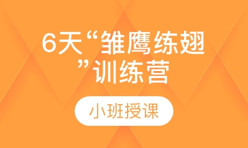 6天“雏鹰练翅”训练营