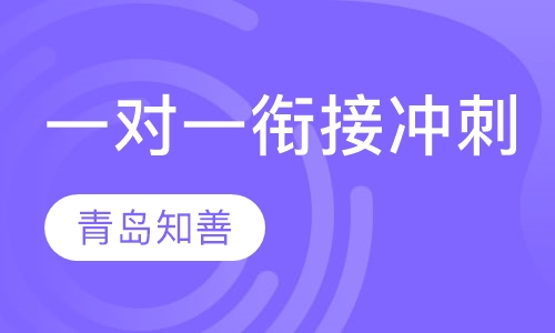 一对一衔接冲刺辅导