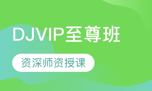 DJVIP至尊班