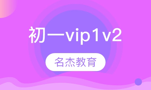 初一vip1v2