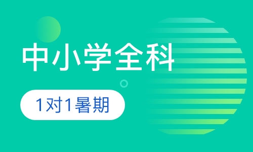 中小学全科1对1暑期辅导