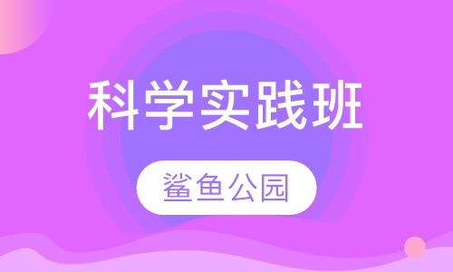 科学实践班