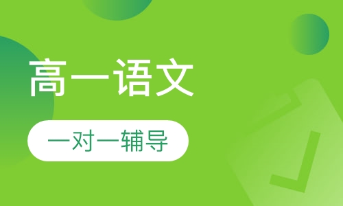 高一语文一对一辅导课程