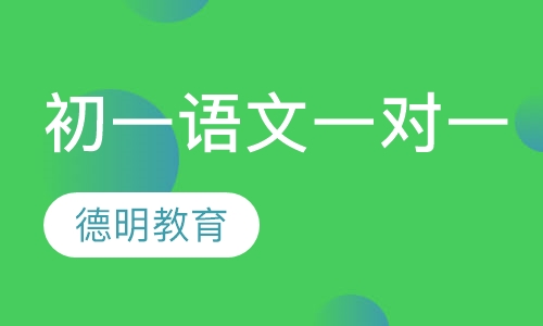 初一语文一对一班