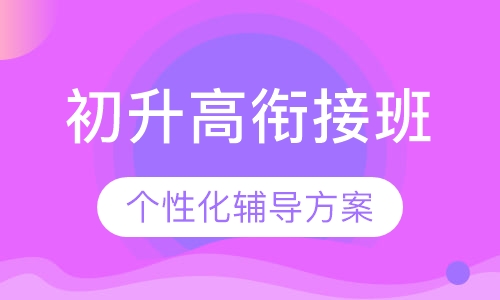 初升高衔接班